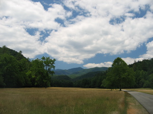 Cataloochee Valley