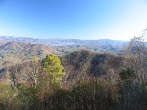 View from Maple Springs Overlook